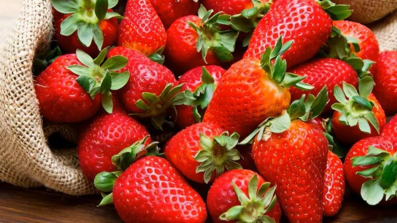 Mercado global de la fresa alcanzó los US$ 6.300 millones en 2025