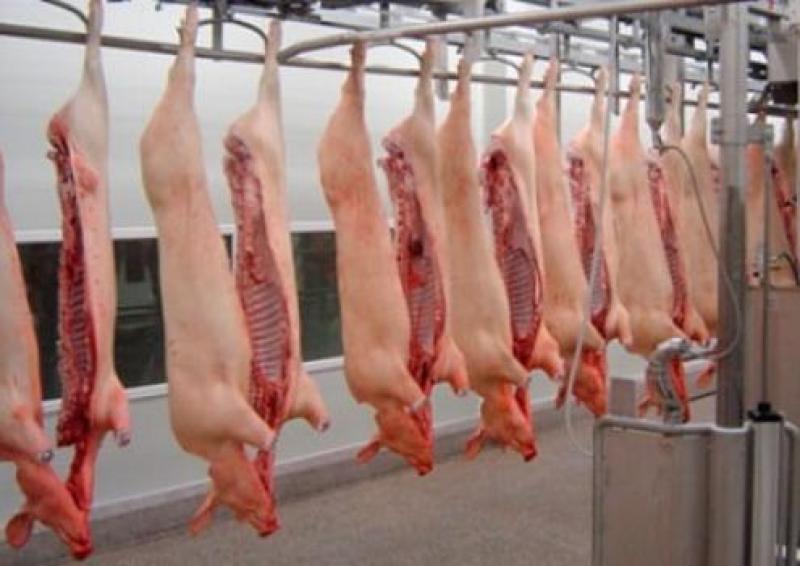 MERCADO MUNDIAL DE CARNE DE CERDO SE MANTENDRÍA DÉBIL DURANTE EL PRIMER TRIMESTRE DEL 2016