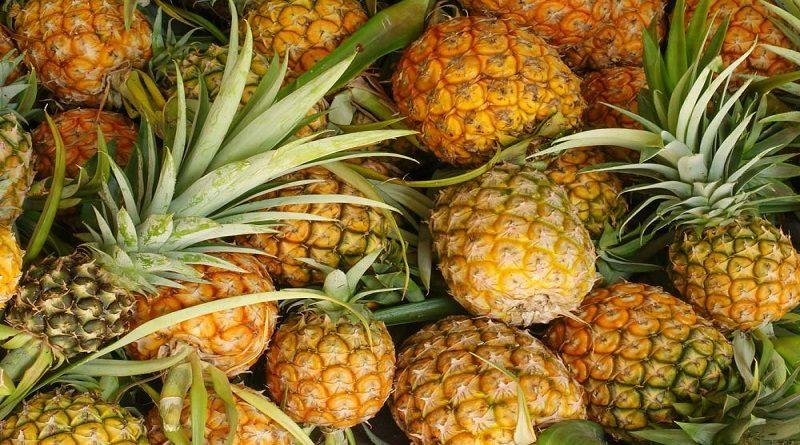 Mercado mundial de la piña está en expansión