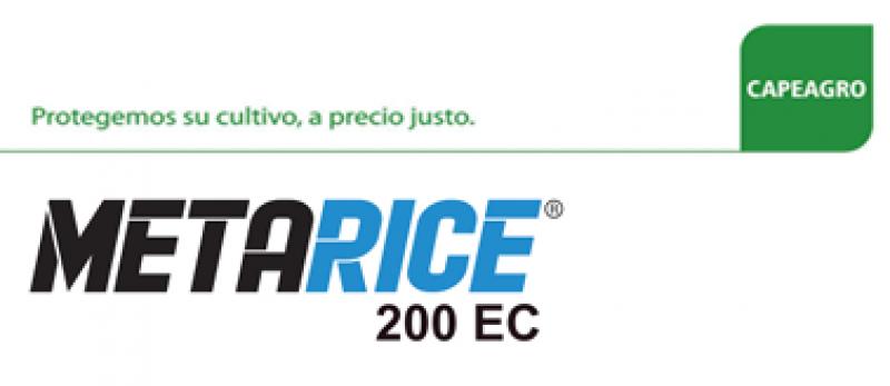 Metarice (Metamifop), desde el inicio tu cultivo de arroz sin malezas gramíneas