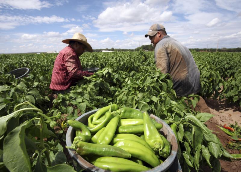 México: advierten de próxima crisis alimentaria a causa de la paralización por el Covid-19