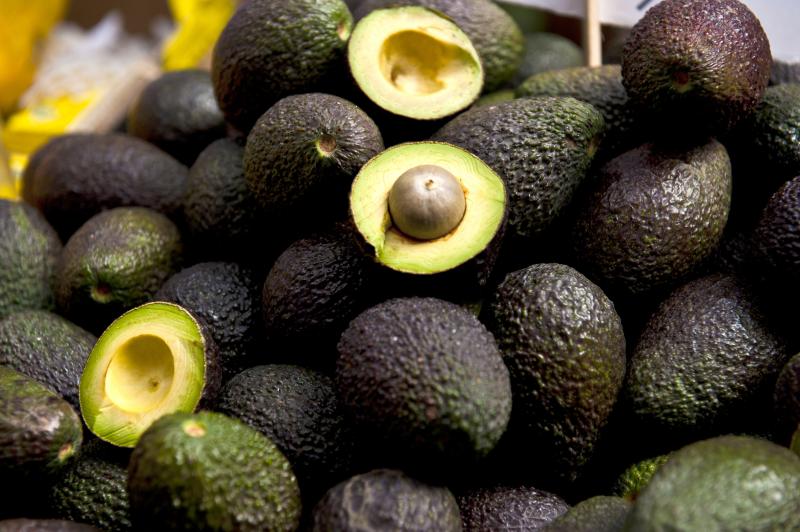 México: crean capa natural que prolonga la vida en anaquel de la palta Hass