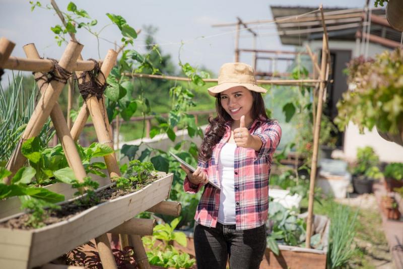 Microsoft y el IICA crean plataforma gratuita de videos sobre agricultura