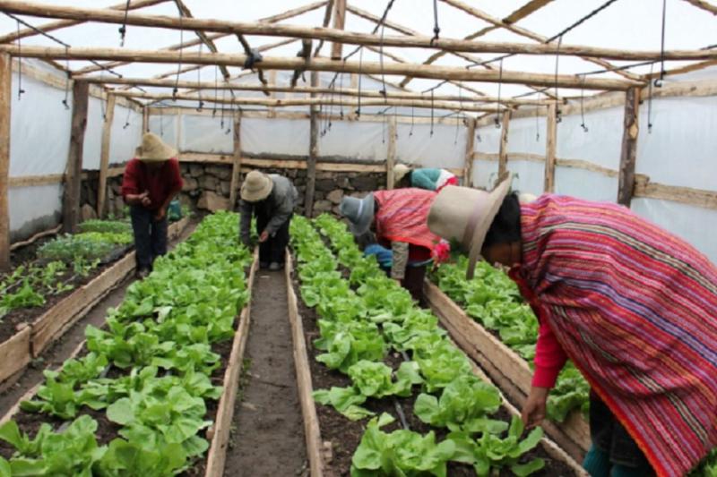 Midagri anunció acciones para impulsar recuperación de productores