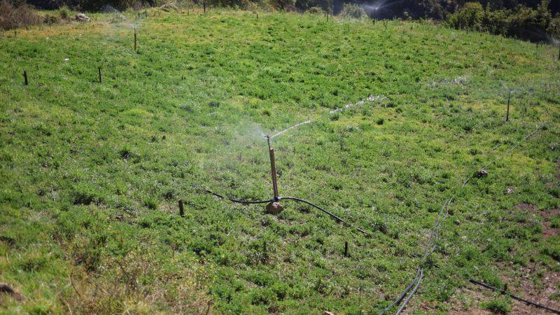 Midagri ejecuta 24 proyectos de riego tecnificado en zonas altoandinas durante este año