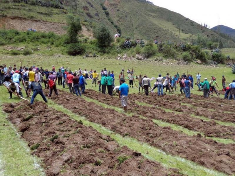 Midagri evalúa crear la Dirección de Promoción del Desarrollo de Comunidades Campesinas y Nativas