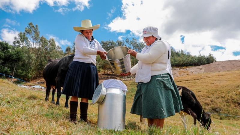 Midagri impulsa la ejecución de 1.800 planes de negocio