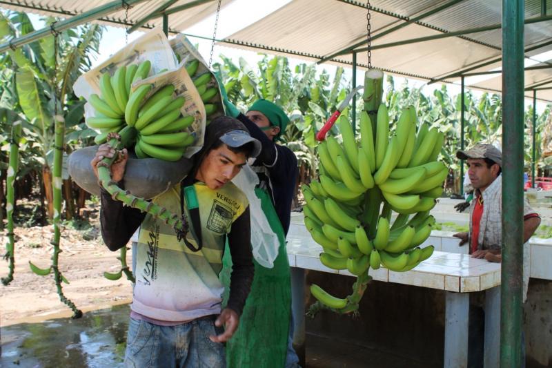 Midagri impulsa la Ruta Productiva Exportadora para los productos agrícolas