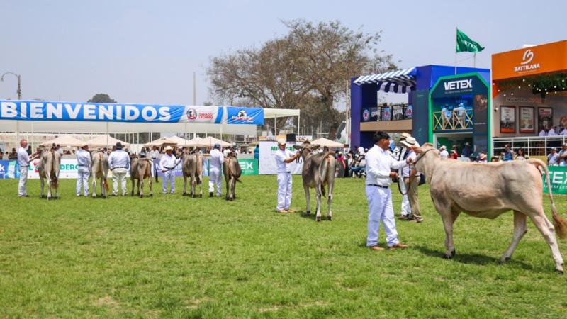 MIDAGRI inaugura XI Feria Nacional de Ganado Lechero de Raza Holstein y Brown Swiss