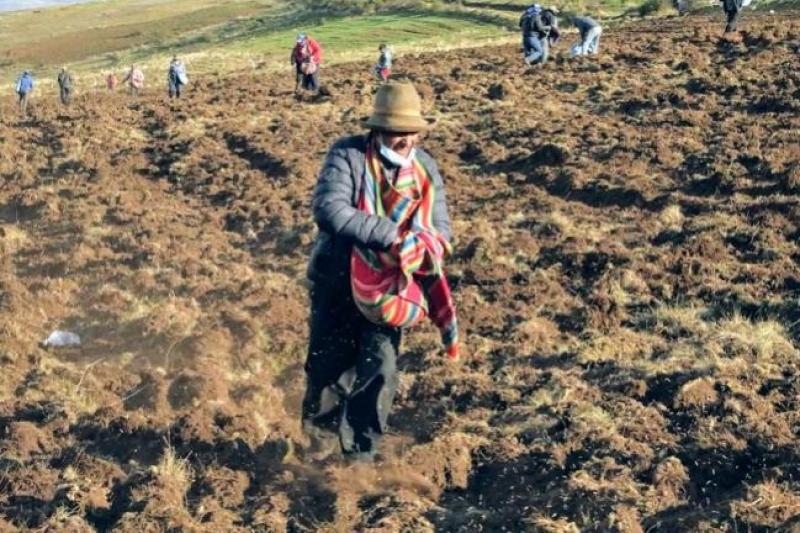 Midagri invitó a cooperantes extranjeros a trabajar por segunda reforma agraria