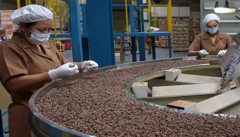 Midagri: Perú exportó 3.5 millones de sacos de café en 2020