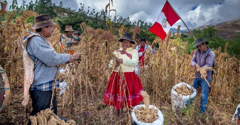 Midagri: producción nacional agropecuaria creció 4% en primer trimestre de 2025