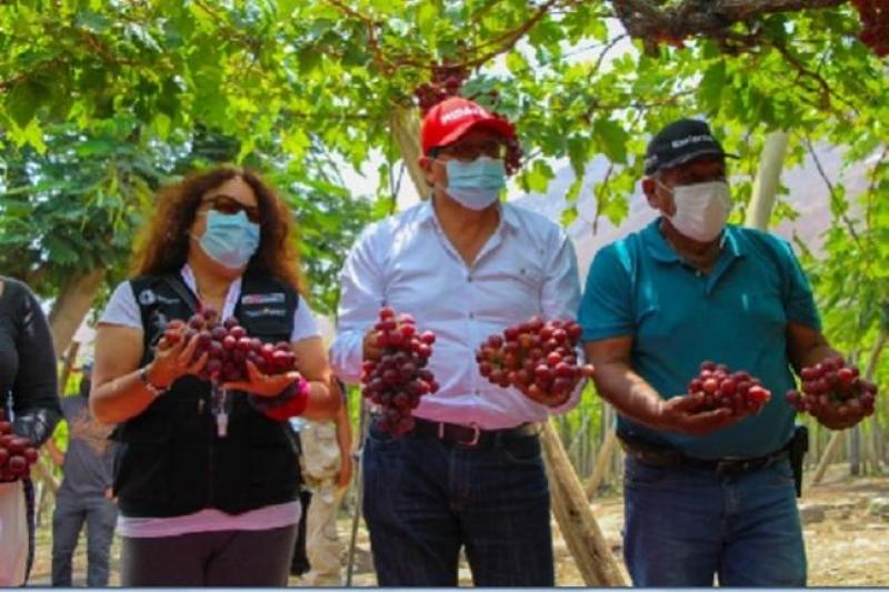 Midagri y Midis fortalecerán agenda agraria con enfoques productivo e inclusivo