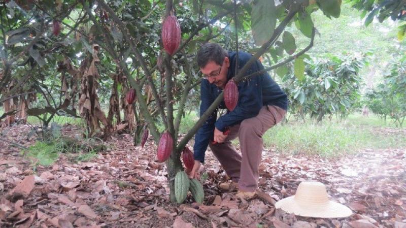 MIL CACAOTEROS  FUERON CAPACITADOS EN BUENAS PRÁCTICAS AMBIENTALES