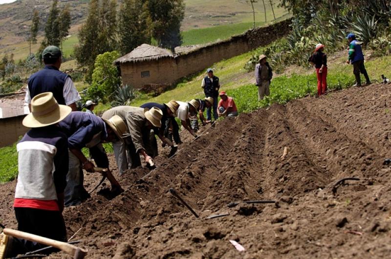 MINAG DIFUNDIRÁ INFORMACIÓN POR RADIO Y CAPACITARÁ AGRICULTORES