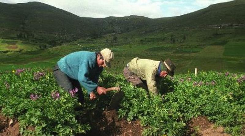 Minagri acelera titulación de predios rurales