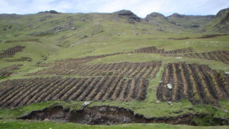 Minagri autorizó transferencia de S/ 9.8 millones a Sunarp para titulación y registro de tierras rurales