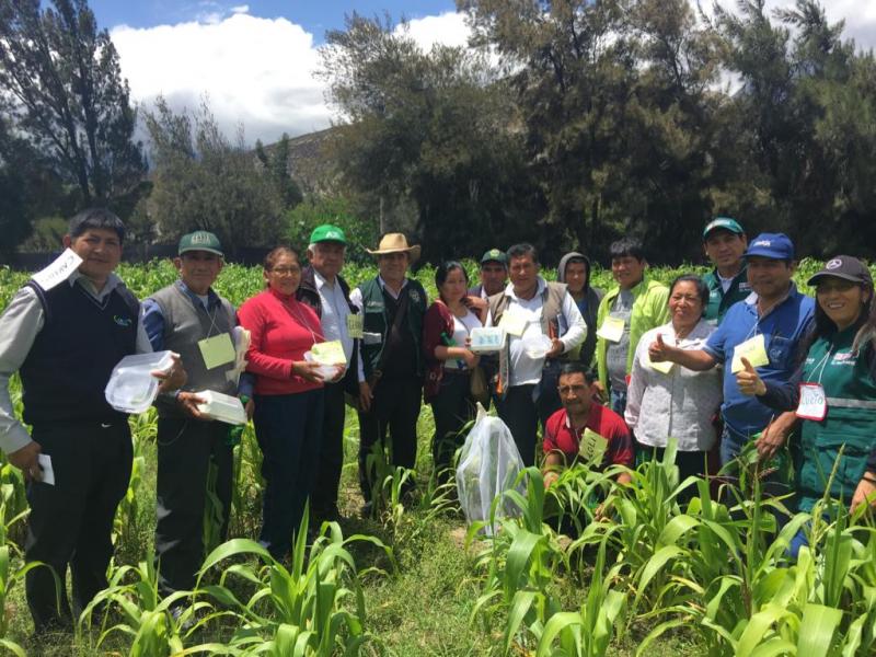 Minagri entrena facilitadores en escuelas de campo para beneficio de la agricultura familiar