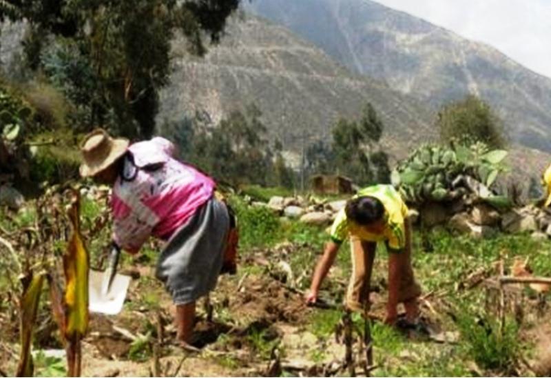 MINAM Y MINAG JUNTOS PARA COMBATIR EL CAMBIO CLIMÁTICO