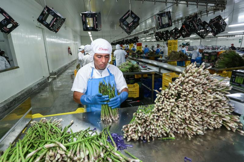 Mincetur: Agroexportaciones alcanzaron los US$ 9.807 millones en 2022, mostrando un aumento de 12.3%