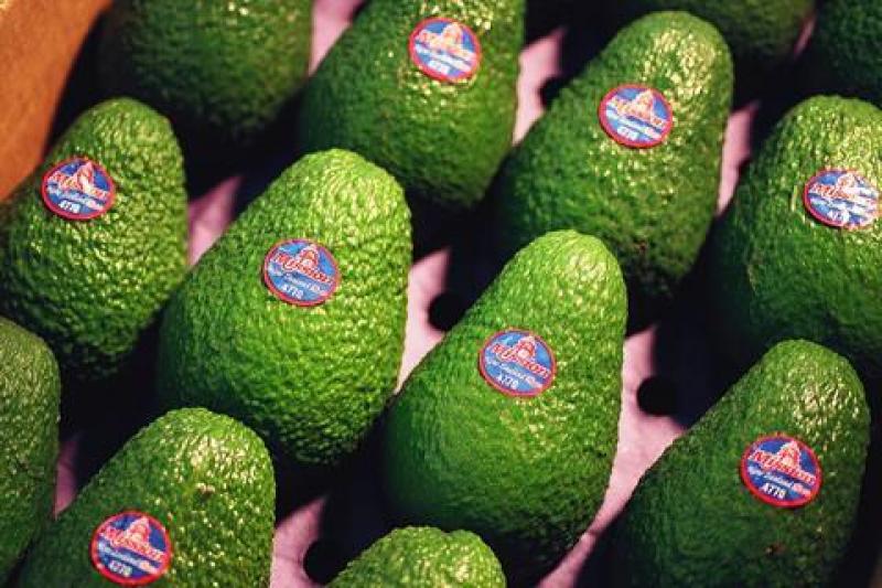 Mission Produce garantiza abastecimiento de palta a Asia durante todo el año