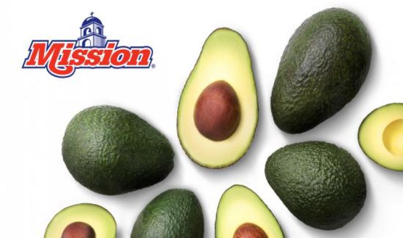 Mission Produce implementa política contra deforestación ilegal asociada a la palta en México