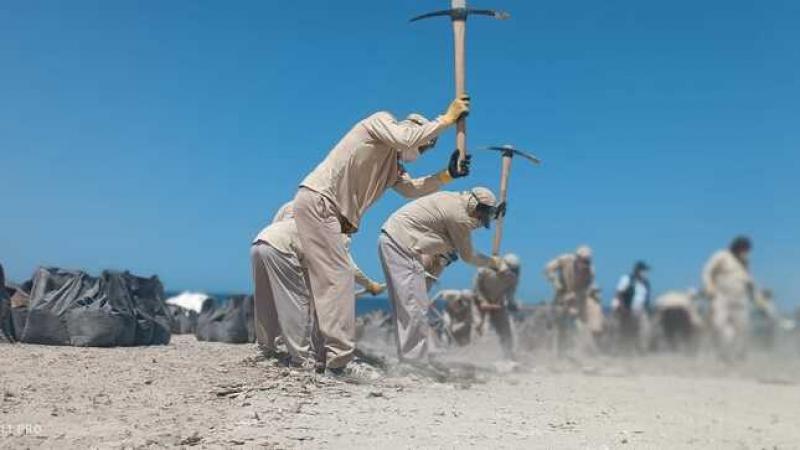 Moquegua: 6.879 toneladas métricas de guano de islas serán extraídas en Ilo