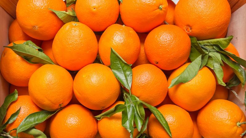 Naranja Valencia peruana: El potencial exportador que dinamiza la economía de la Selva Central