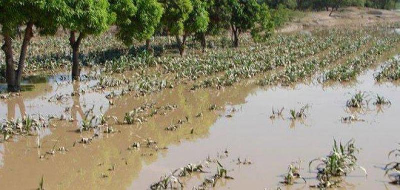 No habría fenómeno de El Niño en el próximo verano