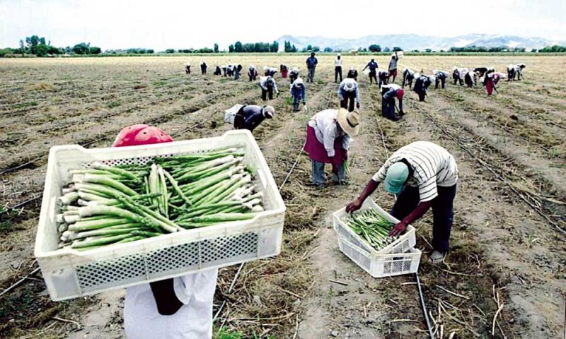 “Nueva ley agraria debe ser respetuosa de la constitución, competitiva y que se ajuste a los grandes cambios tecnológicos que están sucediendo en el mundo y que incluyen aspectos laborales y tributarios”