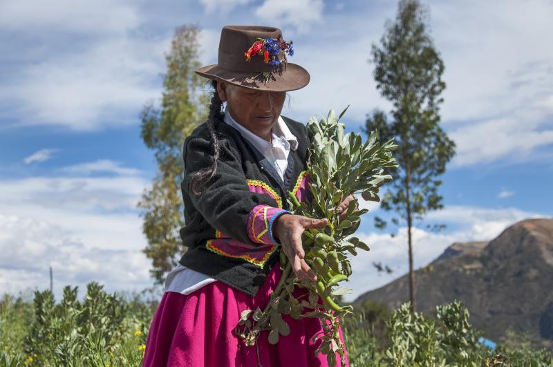 NUEVA POLÍTICA NACIONAL AGRARIA PRIORIZARÁ LA AGRICULTURA FAMILIAR