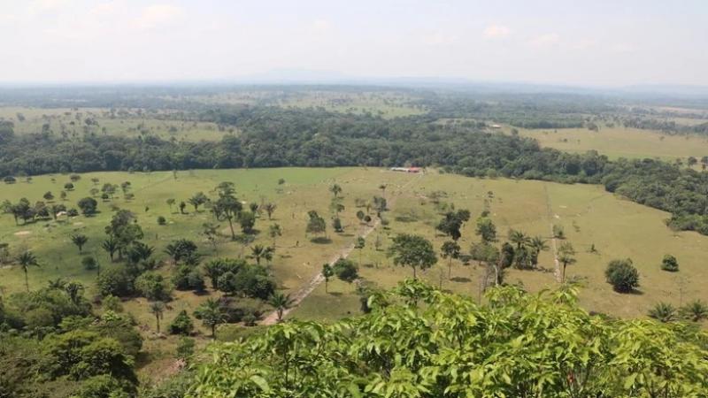 Ocho países de la Amazonia con el poder de salvar el planeta