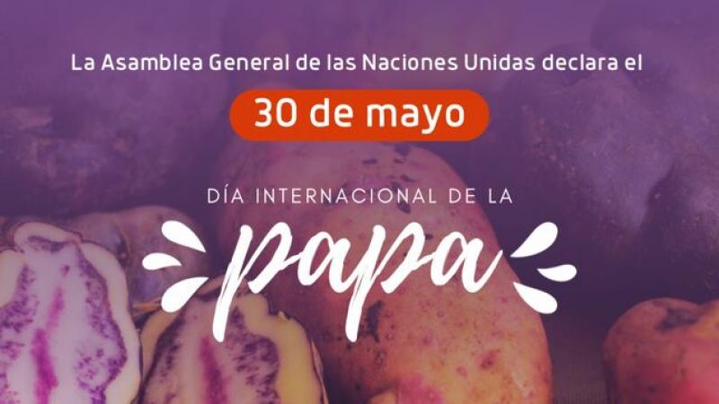 ONU declara el 30 de mayo como el Día Internacional de la Papa