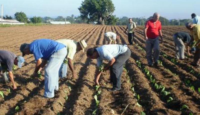 ORGANIZAN TALLER SOBRE PERSPECTIVAS DE LAS CONDICIONES CLIMÁTICAS PARA EL AGRO