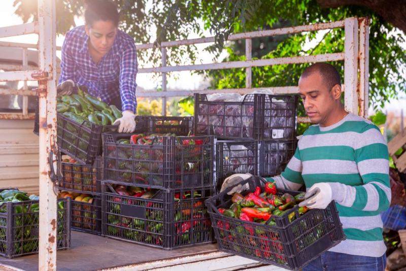 Países de las Américas alcanzan consensos para que la voz de los agricultores sea escuchada en el foro global