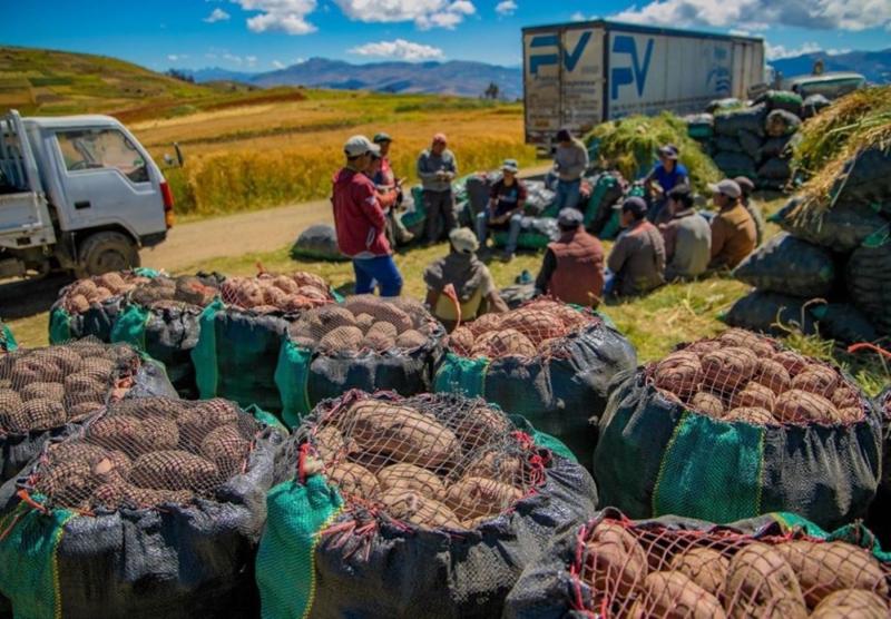 Países de las Américas recomiendan acciones puntuales para mejorar la transparencia en el comercio agrícola