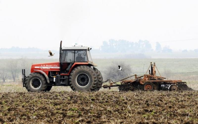 Países sudamericanos no son una alternativa ante escasez de trigo