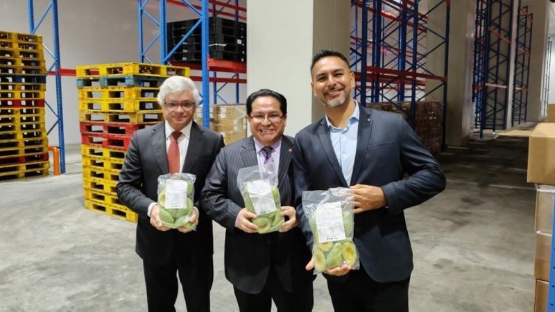 Palta peruana congelada ingresa al mercado chino con envío histórico