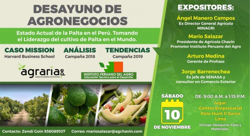 Palta peruana se consolida como el primer producto de agroexportación