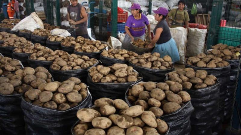 Papa amarilla cuesta hasta S/9 en mercados minoristas