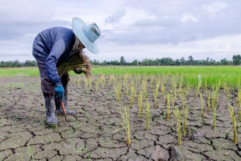 “Para una correcta toma de decisiones en campo solo es válida la predicción climática”