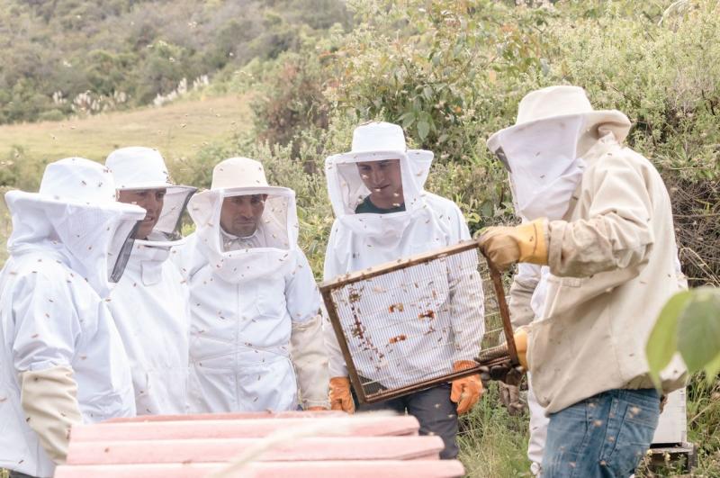 Pequeños productores, agricultores y artesanos promocionan sus productos en web de E-commerce solidario ‘La Huella’