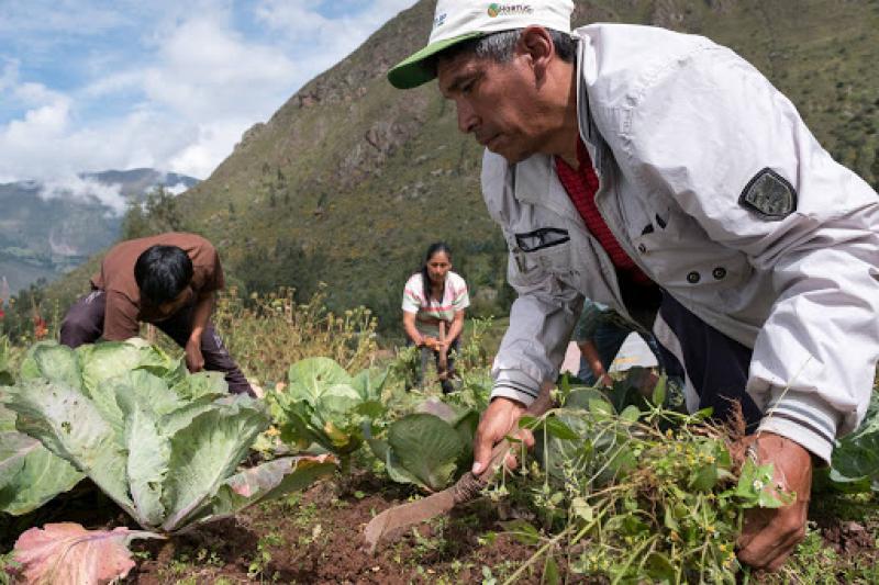 Pequeños productores agropecuarios son prioridad en Reglamento de Certificación y Fiscalización de la Producción Orgánica