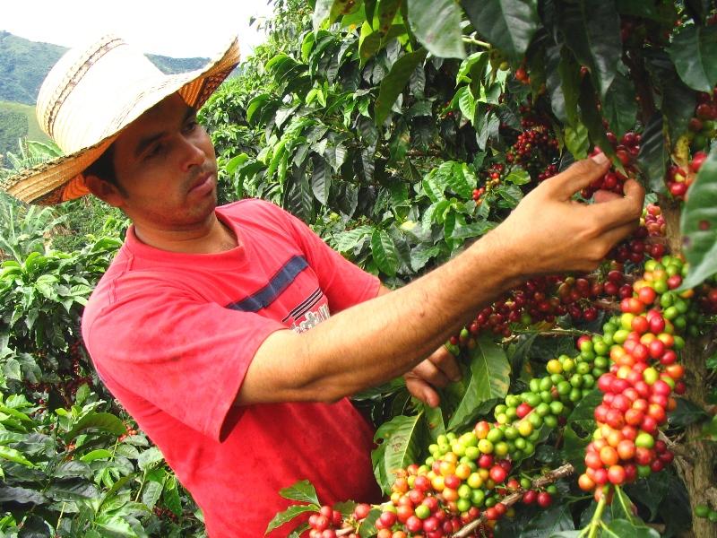 PEQUEÑOS PRODUCTORES Y PERHUSA FORTALECEN CRECIMIENTO 