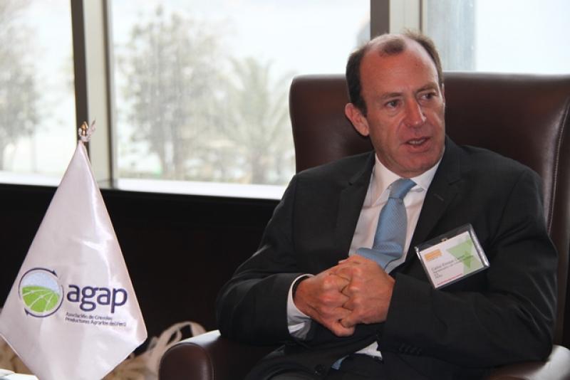 PERÚ DEBE SEMBRAR NUEVOS PRODUCTOS COMO BERRIES O KIWI