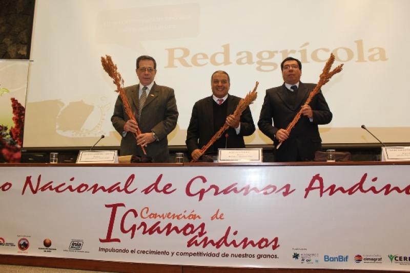 PERÚ DESPLAZARÍA A BOLIVIA COMO PRIMER PROVEER DE QUINUA