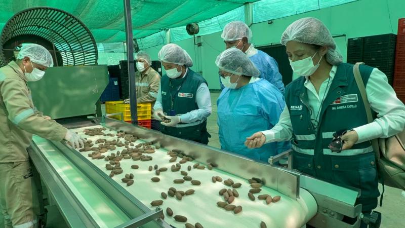 Perú envía su primer cargamento de pecana a China