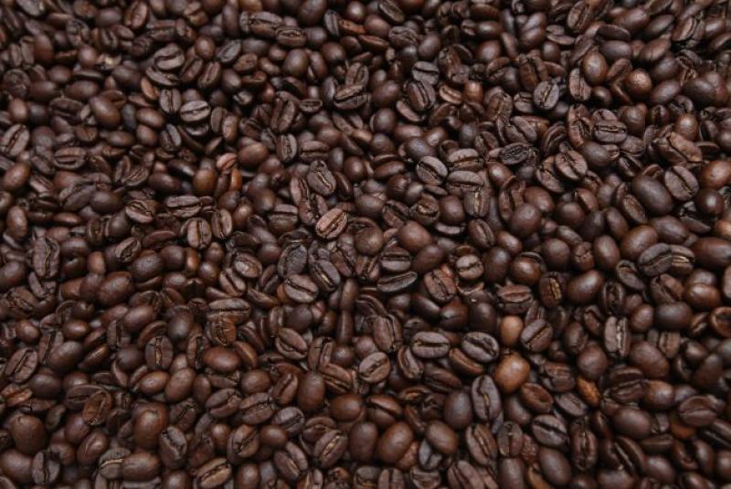 PERÚ ES EL SEGUNDO PRODUCTOR Y EXPORTADOR MUNDIAL DE CAFÉ ORGÁNICO