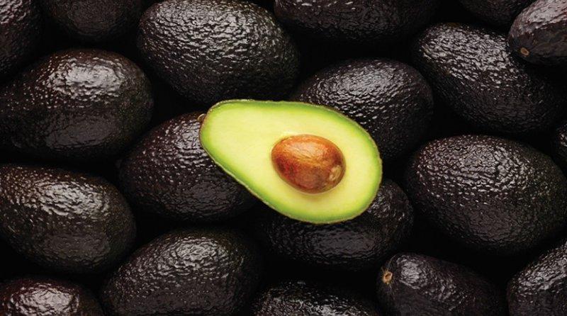 Perú espera exportar 8.000 toneladas de palta a Japón para este año