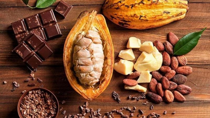 Perú exportó 102.169 toneladas de cacao y derivados por US$ 745 millones entre enero y agosto